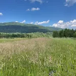 Chalet Niedzwiedzi Zakatek