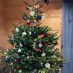 شاليه Niedzwiedzi Zakatek *