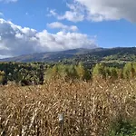 Niedzwiedzi Zakatek شاليه *