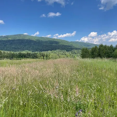 Chalet Niedzwiedzi Zakatek