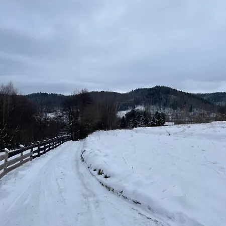 Chalet Niedzwiedzi Zakatek *