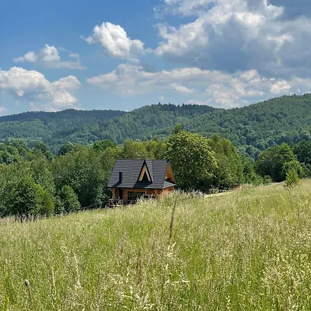 Niedzwiedzi Zakatek *