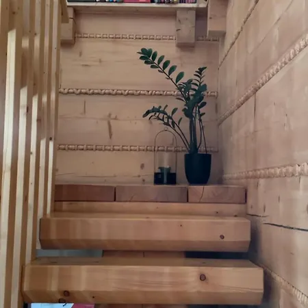 Niedzwiedzi Zakatek *