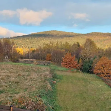 Alpehytte Niedzwiedzi Zakatek