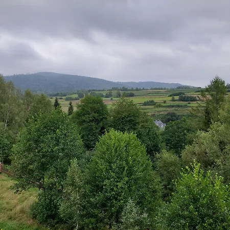 Niedzwiedzi Zakatek Sidzina