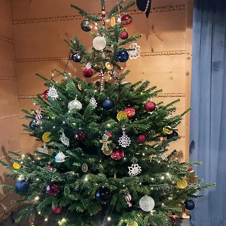 Chalet Niedzwiedzi Zakatek *