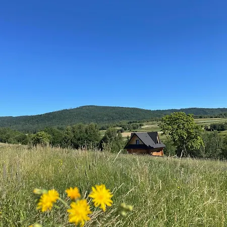 Niedzwiedzi Zakatek Chalet Sidzina