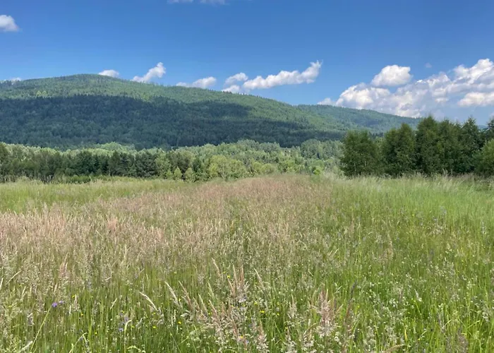 Alpehytte Niedzwiedzi Zakatek