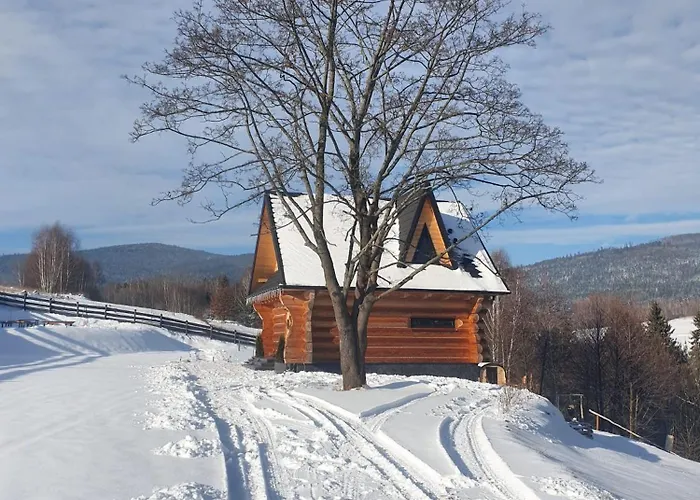 Alpehytte Niedzwiedzi Zakatek *