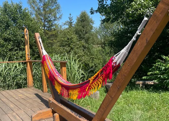 Niedzwiedzi Zakatek *